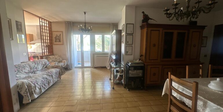 Foto 15