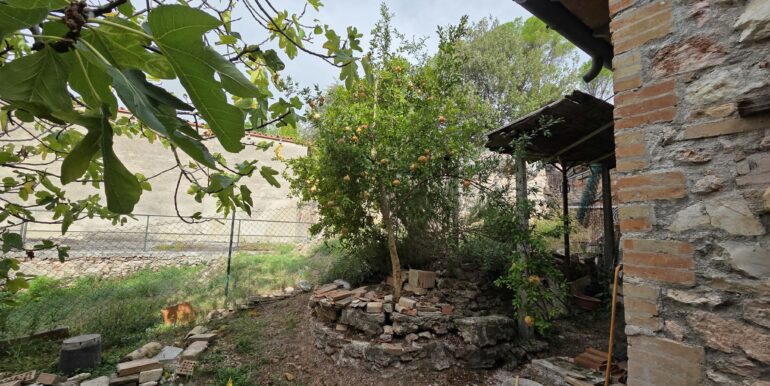 Foto 42